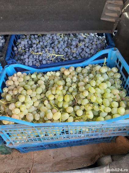 Casa si teren intravilan comuna Dumbraveni, Vrancea - 2