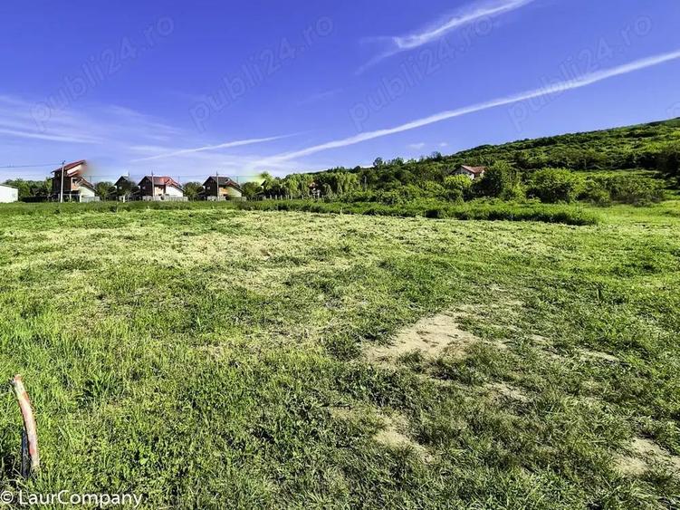Teren intravilan Vranesti , Calinesti Arges - 3