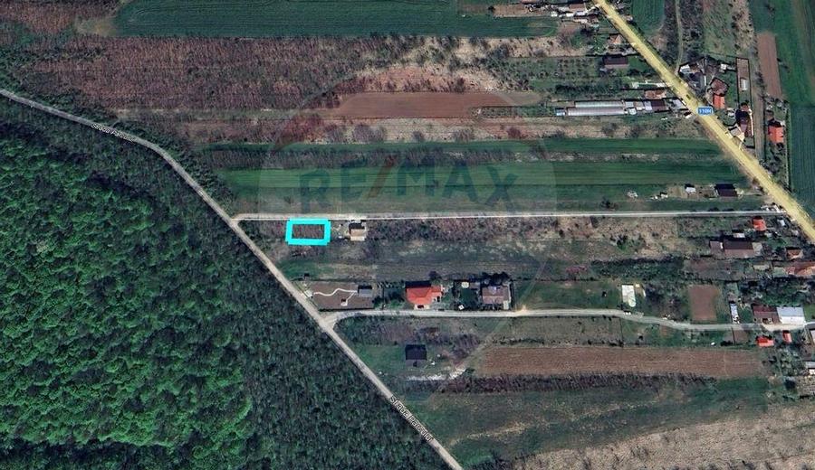 Teren intravilan, 450mp, Gruiu/Ilfov - 10