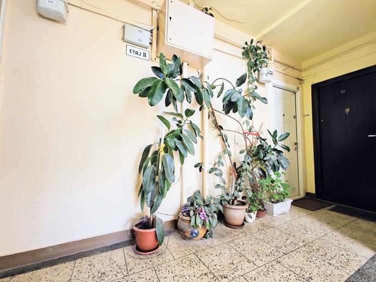 COMISION 0% Apart 2 camere/etaj 2/Calea Dumbravii-Dioda-Regina Maria-Centru - 11