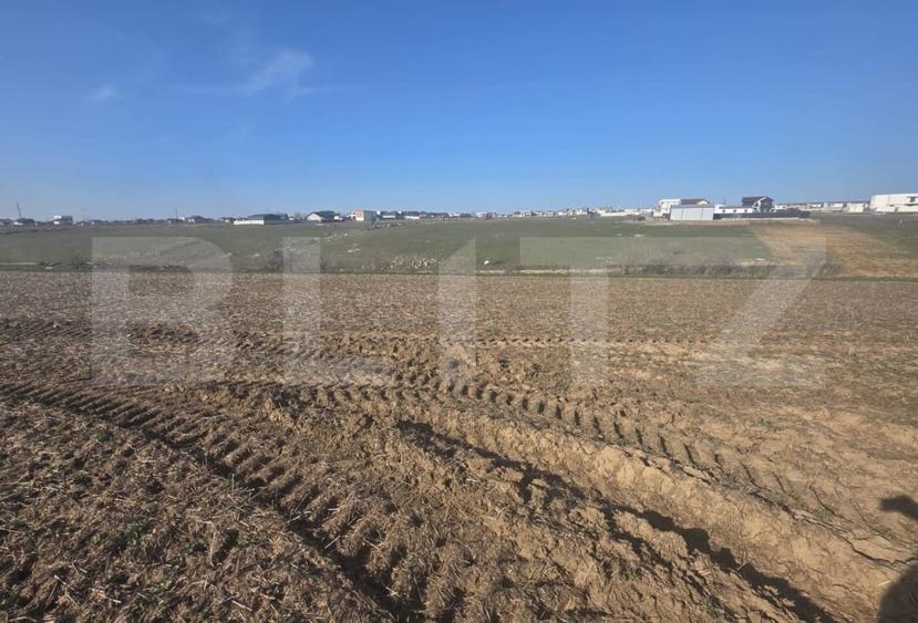 Teren intravilan, 5000 mp, zona Selgros, Preajba - 3