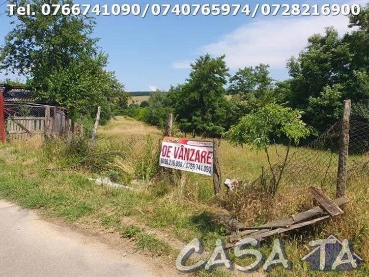 Teren Intravilan (3550 mp), Frasinetului - Preajba - 1