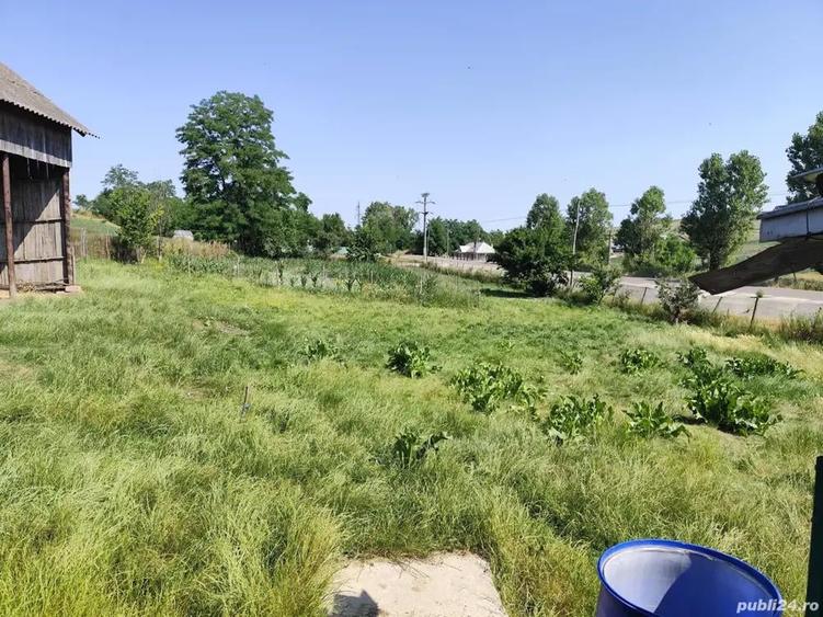 Casa batraneasca - 6