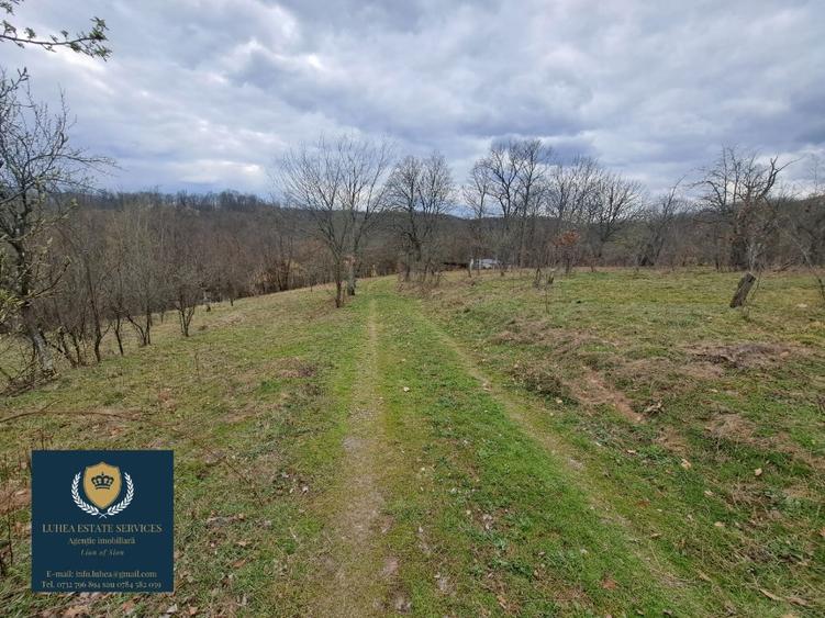 Teren construcții 25428 mp! Reșița, Calea Timișorii. - 6