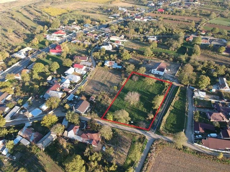 TEREN DE VANZARE BOLOTESTI - 7