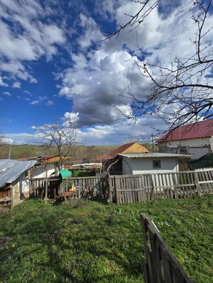 Herneacova-Casa si Teren-Livada- 2876 mp- Front 37m - 19