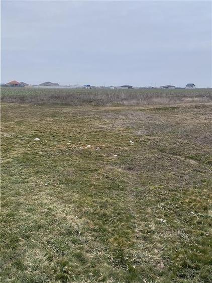 RECO  Teren intravilan in Livada de Bihor 1000mp - 3