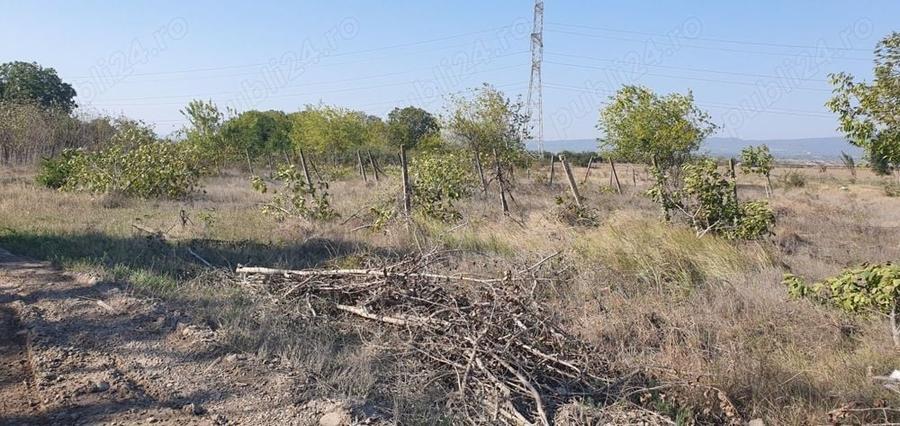 Teren de 2042 mp, în Central