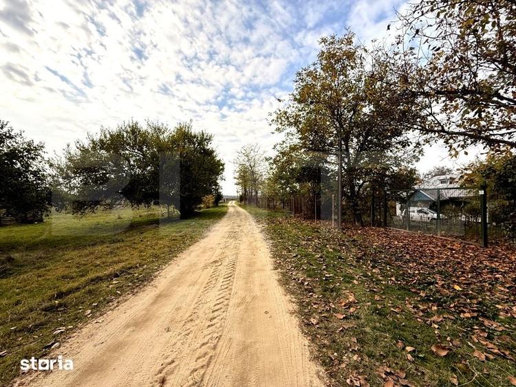 Teren de 29600 mp, în Șimnicu de Sus