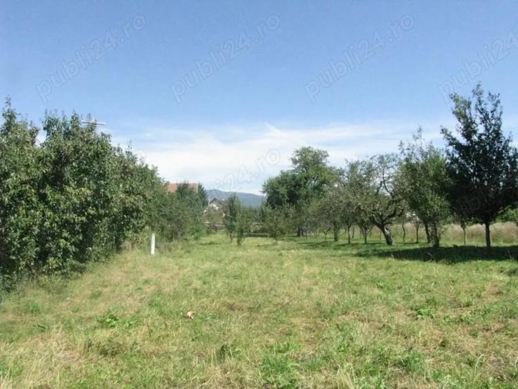 Teren de 4400 mp, în Prejmer