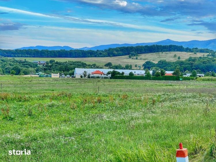 Teren de 712 mp, în Terezian