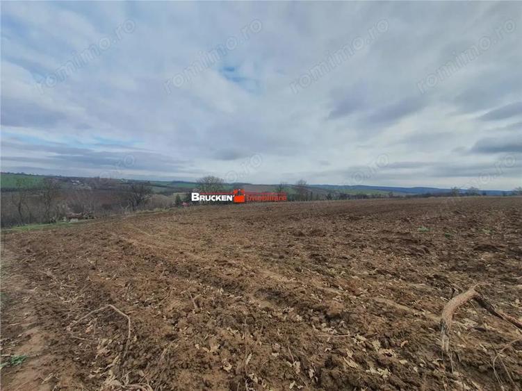 Teren de 13400 mp, în Izvoarele