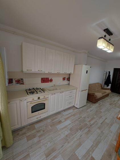 Apartament cu 2 camere decomandat în Luminiș