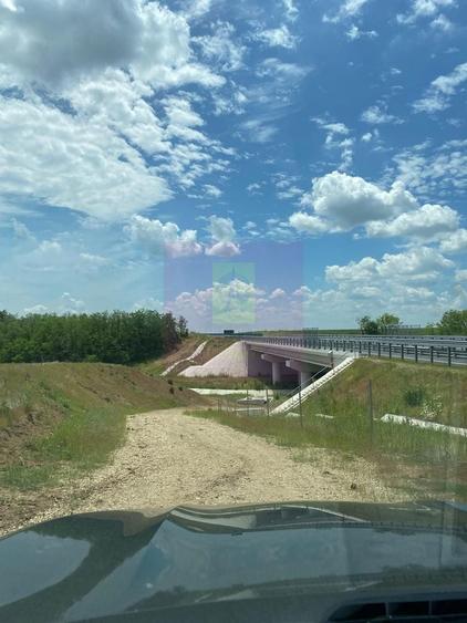 Teren agricol extravilan de 94000 mp, în Albota
