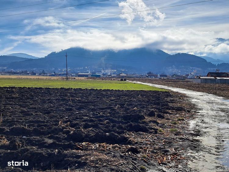 Teren extravilan locatie excelenta, proprietar, multiple posibilitati - 8