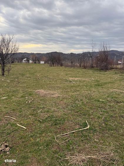 Brebu - teren intravilan 5200mp parcelabil - 25 Euro/mp - 7
