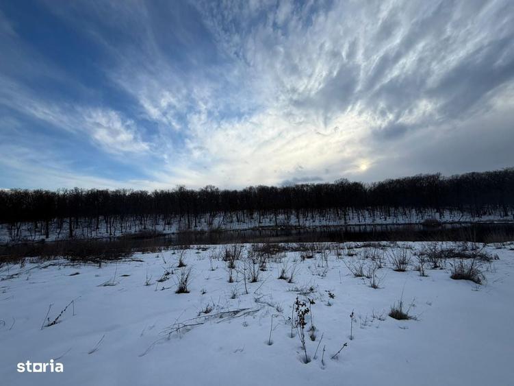 Teren intravilan de vanzare cu deschidere la lac, Branesti - 8