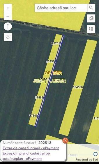 Vand teren intravilan in Cartierul Grigorescu Oradea - 1