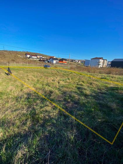 Teren Bucium, in spate la LIDL, 503 mp - 5