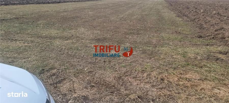 Teren intravilan de vanzare Sard ! - 4