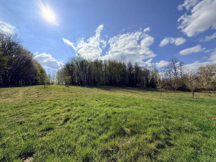 Vand casa sat Dobricionesti Bihor - 3