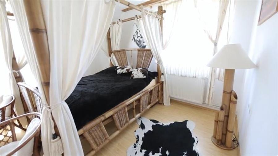 Film! Resedinta cu personalitate,piscina, comod amplasament, 1.000 mp teren - 3