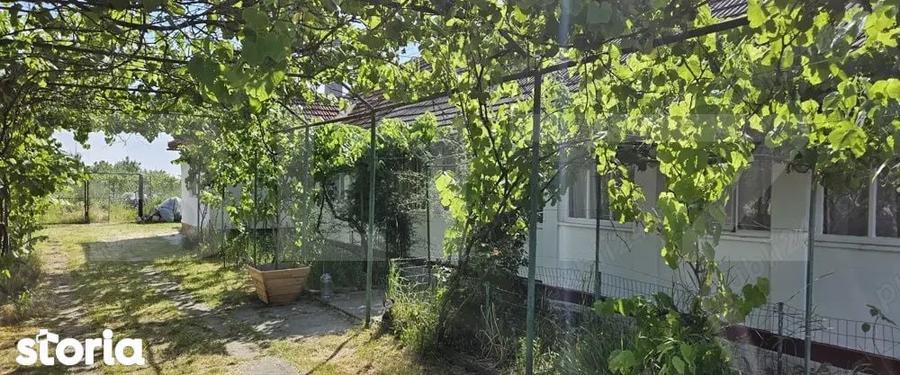 Vand casa Comuna Nitchidorf Judetul Timis - 10