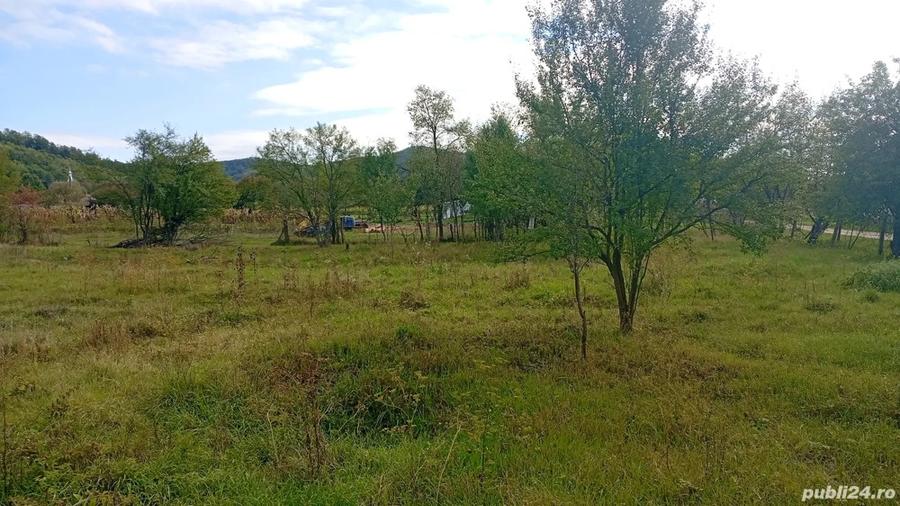 Casa Batraneasca - 4