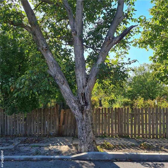 CASA DE VANZARE TANDAREI (curte din Str. Garii pana in Str Caprioarei) - 6