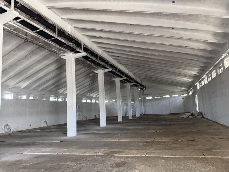 Ferma-Baza- depozit cereale- de vanzare- Barlad- Banca - Vaslui - 6