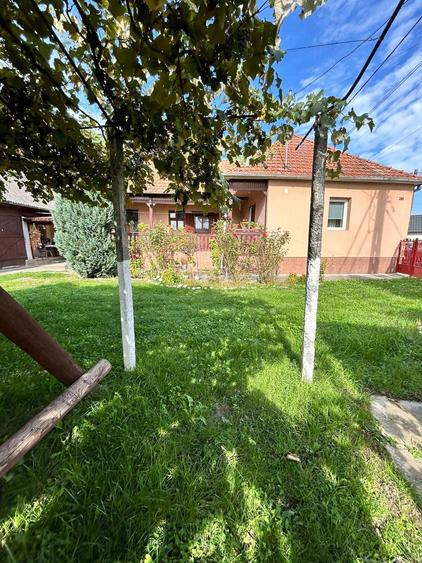 Casa cu curte si gradina, 1100 m2, pozitie centrala, Ciceu Giurgesti - 3