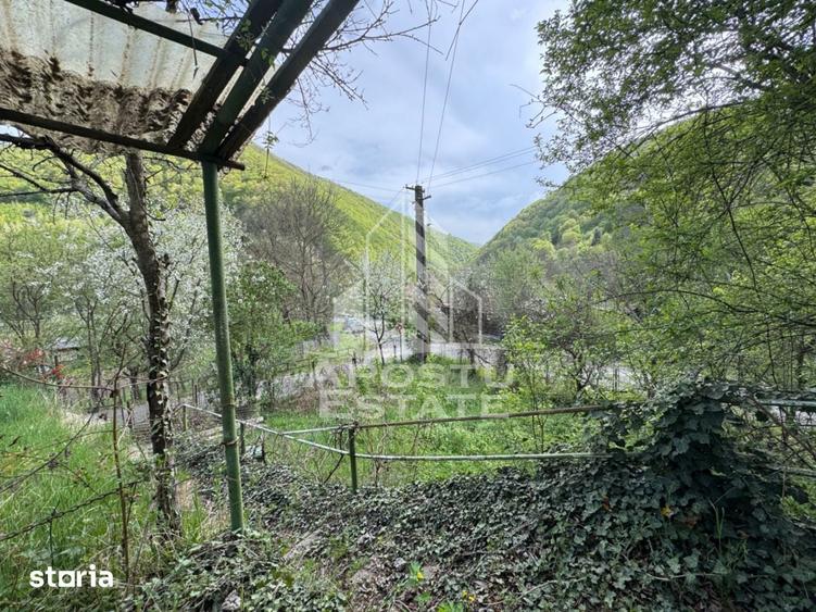 Casa batraneasca cu 2 camere, vedere panoramica, in Toplita, Hunedoara - 13