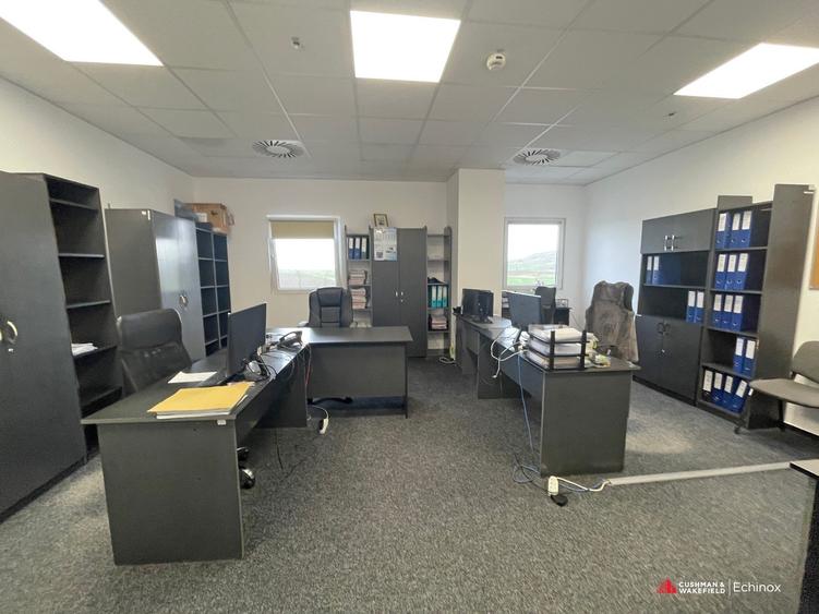 Hala 3026mp, teren 13653mp, Dumesti - 9