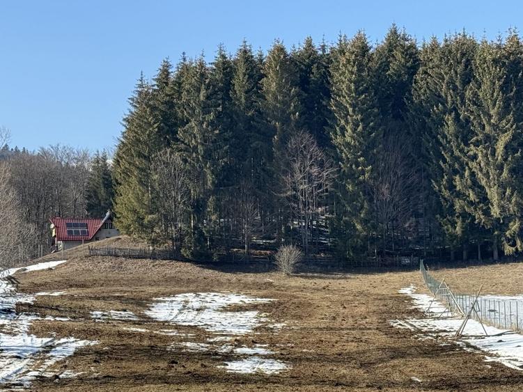 Teren intravilan 4521mp lângă pădure-valea Doftanei -Calea Brasovului - 4