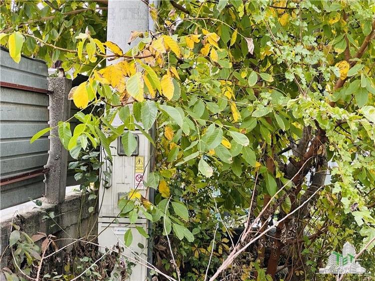 Teren intravilan 493 mp, superb, stradal la asfalt, GIULESTI str CARAMIDARIEI, S - 4