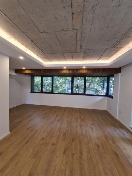 TINERETULUI- SERBAN VODA Vila p+ 1+2 , de inchiriat 5 camere-2600euro - 6