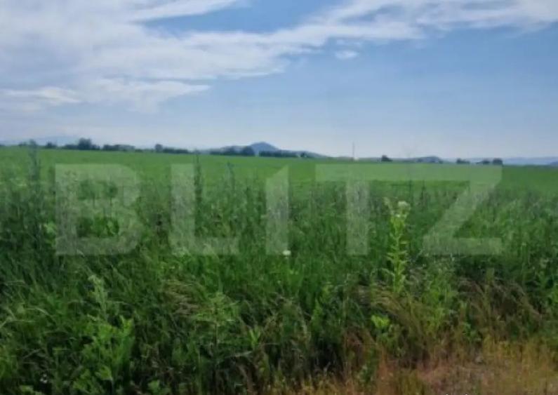 Teren extravilan, 1203 mp pretabil pentru investitie ,casa p - 4