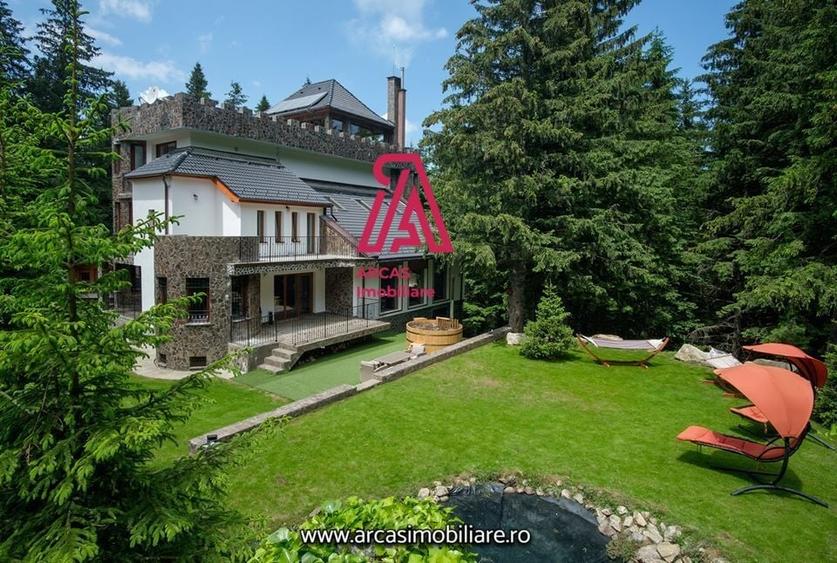 Afacere la cheie! Resedinta de lux- statiunea Paltinis! - 9