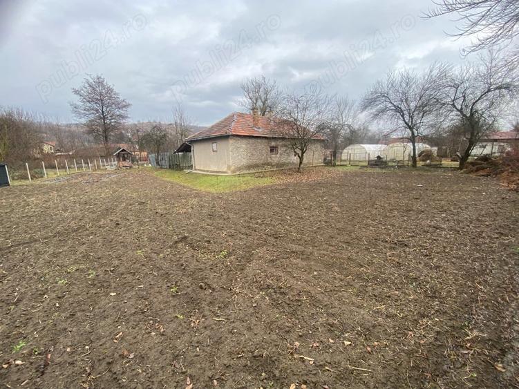 Vand casa in Pestisu Mic - 7