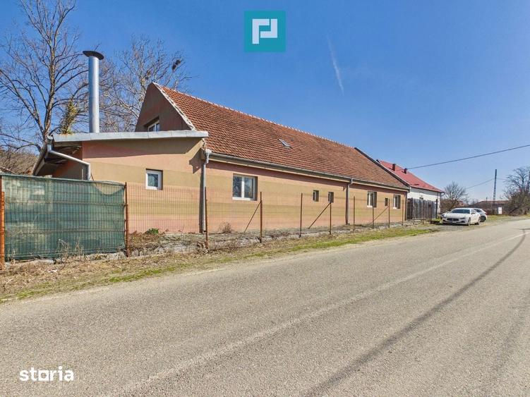 Casa cu 8 camere pentru investi?ii in Maciova CS - 20