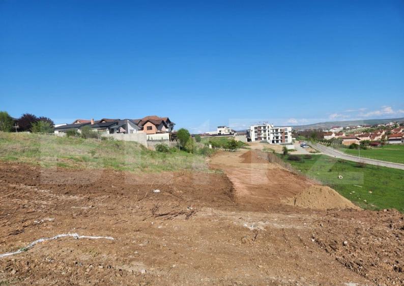 Teren intravilan 5600mp pt P+3 si 15 case insiruite in Cetat - 2