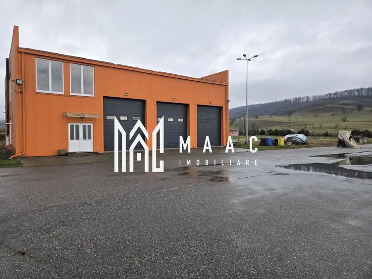 Imobil industrial I 448 mp I Teren 12.000 mp I Bradu I De Inchiriat - 1