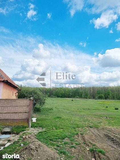 Casa cu teren 1439 mp de vanzare in Gurbediu, Bihor - 2