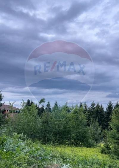 Comision 0%! Teren Sacele / Strada Valea Larga 2000 mp - 2