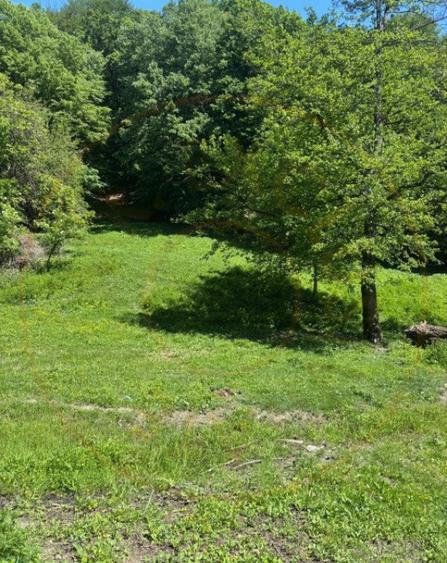 Terenuri 12.225 mp - Ramnicu Valcea, Aranghel - 6