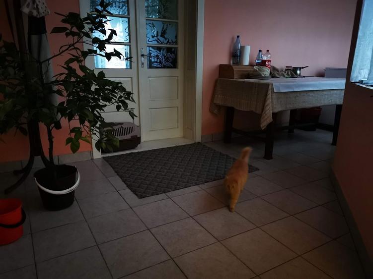 Casa de vanzare Paru, jud Timis. - 4