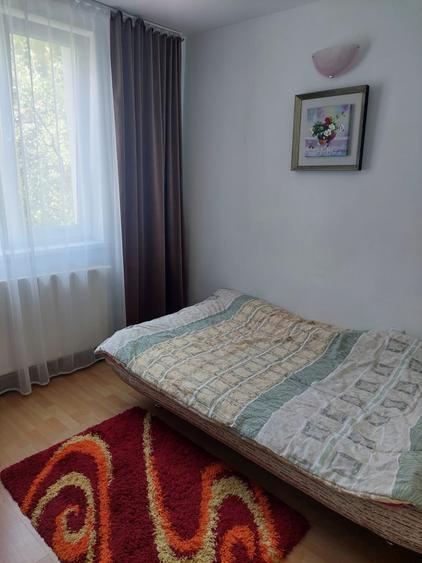 Casa de vanzare Izvoru Muntelui (Judetul NEAMT) - 23