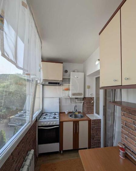 Apartament de 1 camera, zona VALEA GARBAULUI, FLORESTI - 7