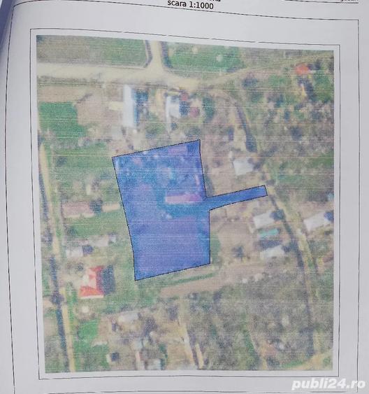 Casa la ?ara jud. Giurgiu, 4 camere, curte 4000 mp - 1
