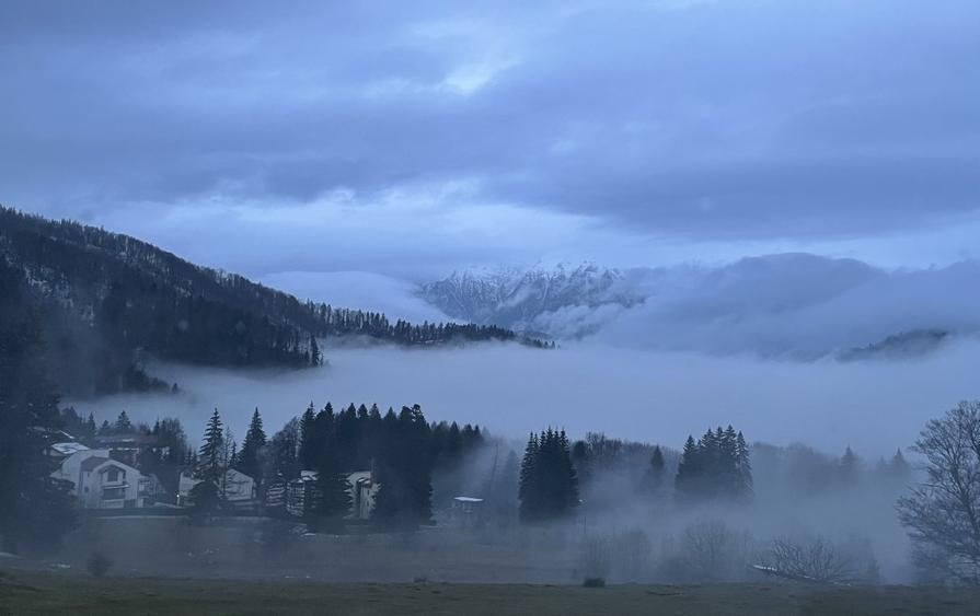 Casa de vacata Predeal Trei Brazi - 16